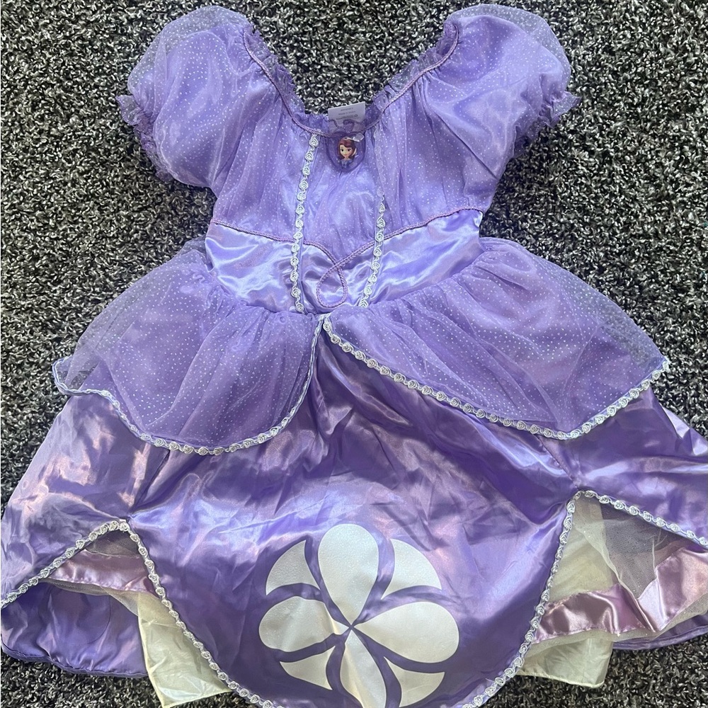 Disney Princess Sophia Purple Kids Costume sz 2/3